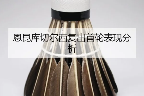恩昆库切尔西复出首轮表现分析